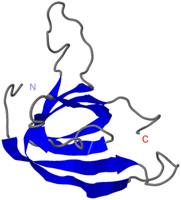 Image NMR Structure - model 1