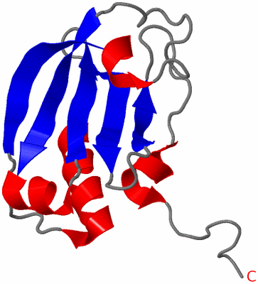 Image NMR Structure - model 1