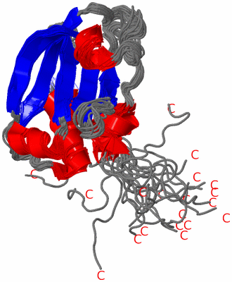 Image NMR Structure - all models