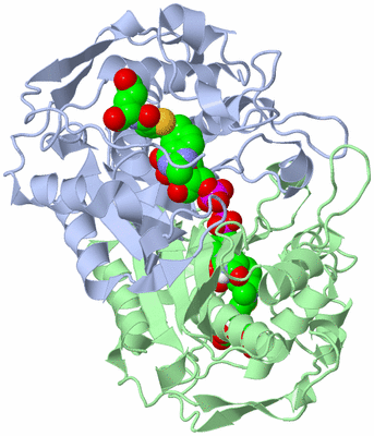 Image Asym./Biol. Unit