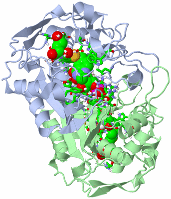 Image Asym./Biol. Unit - sites