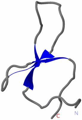 Image NMR Structure - model 1