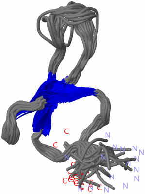 Image NMR Structure - all models