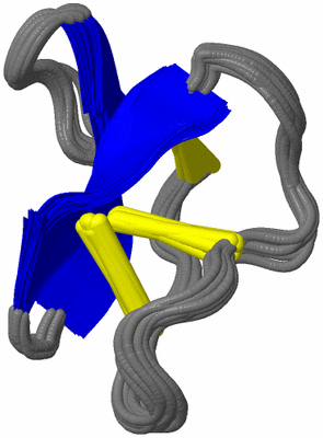 Image NMR Structure - all models