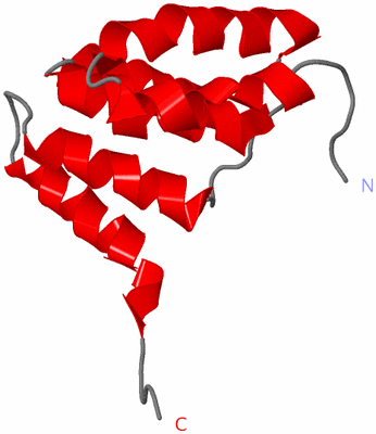 Image NMR Structure - model 1