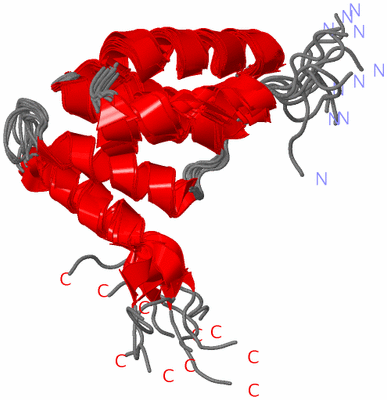 Image NMR Structure - all models