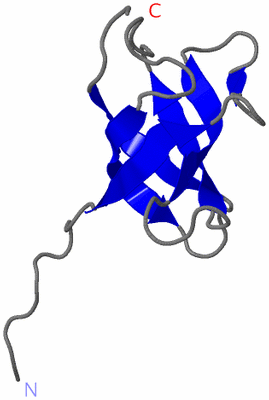 Image NMR Structure - model 1