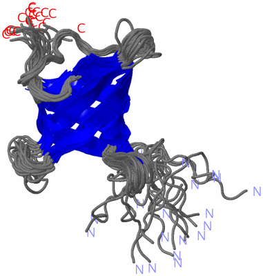 Image NMR Structure - all models