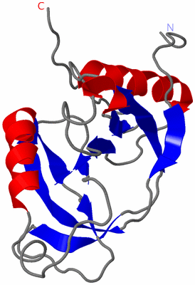 Image NMR Structure - model 1