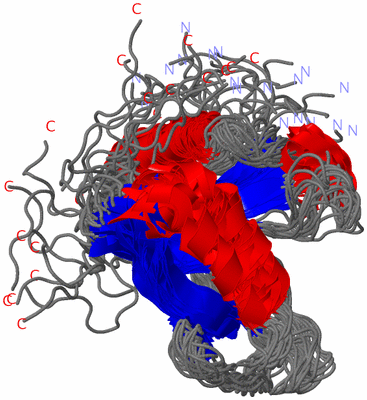 Image NMR Structure - all models