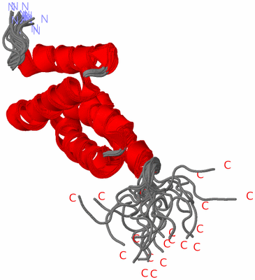 Image NMR Structure - all models