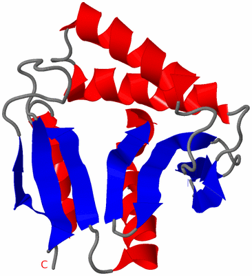 Image NMR Structure - model 1