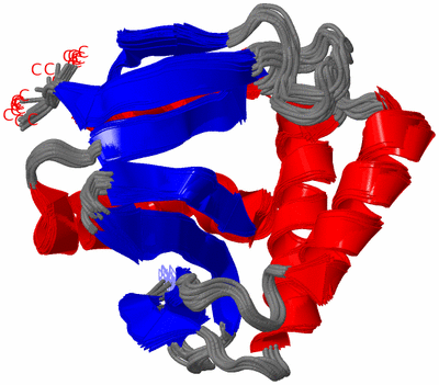 Image NMR Structure - all models