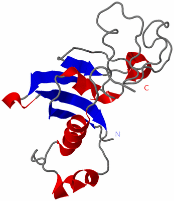 Image NMR Structure - model 1