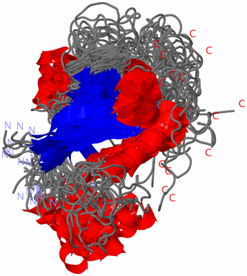 Image NMR Structure - all models