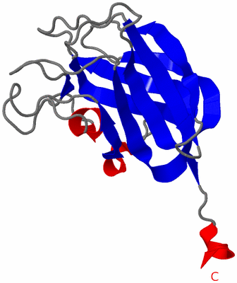 Image NMR Structure - model 1