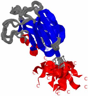 Image NMR Structure - all models