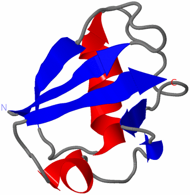 Image NMR Structure - model 1