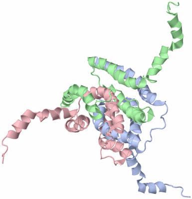 Image NMR Structure - model 1