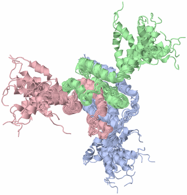 Image NMR Structure - all models