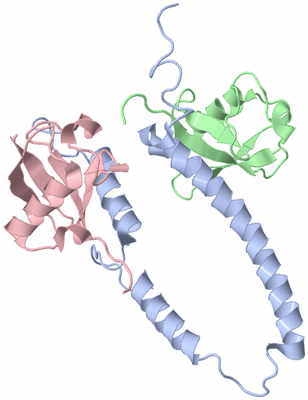 Image NMR Structure - model 1