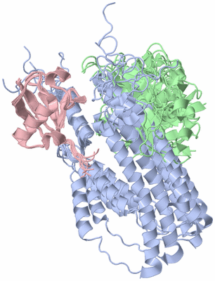 Image NMR Structure - all models