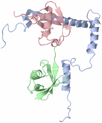 Image NMR Structure - model 1