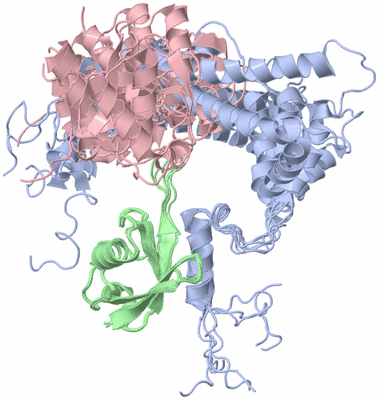 Image NMR Structure - all models