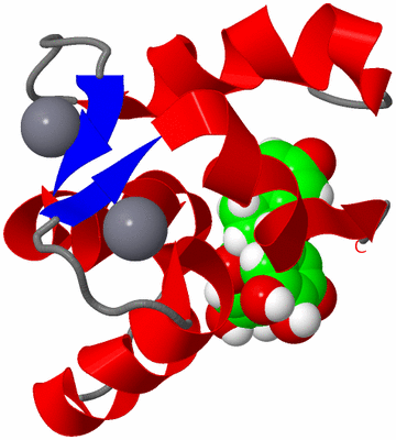 Image NMR Structure - model 1