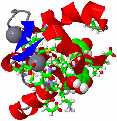 Image NMR Structure - model 1, sites