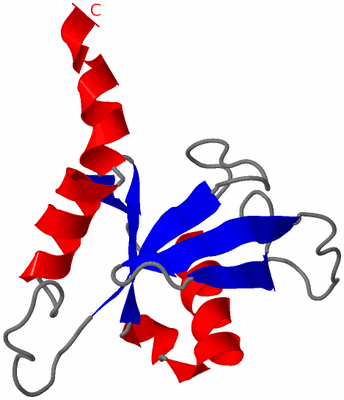 Image NMR Structure - model 1