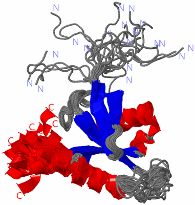 Image NMR Structure - all models