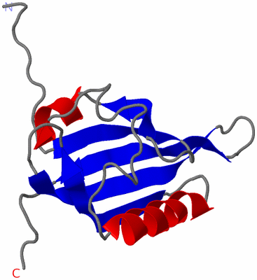 Image NMR Structure - model 1