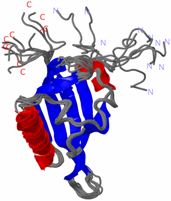 Image NMR Structure - all models