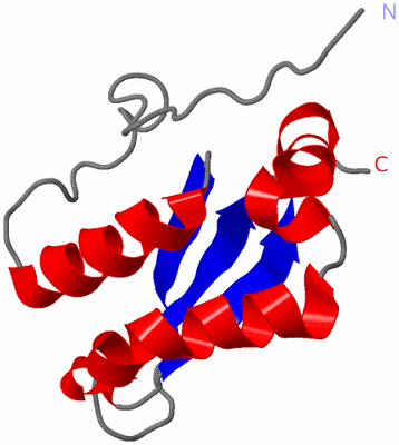 Image NMR Structure - model 1