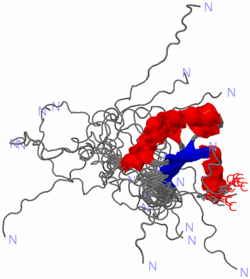 Image NMR Structure - all models