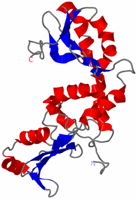 Image NMR Structure - model 1