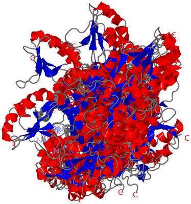 Image NMR Structure - all models