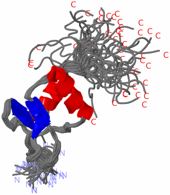 Image NMR Structure - all models