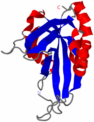 Image NMR Structure - model 1