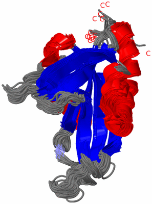 Image NMR Structure - all models