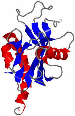 Image NMR Structure - model 1