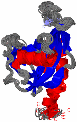 Image NMR Structure - all models