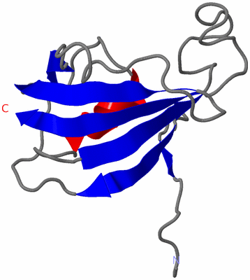 Image NMR Structure - model 1