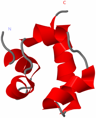 Image NMR Structure - model 1