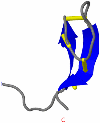 Image NMR Structure - model 1