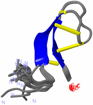 Image NMR Structure - all models