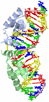 Image NMR Structure - model 1