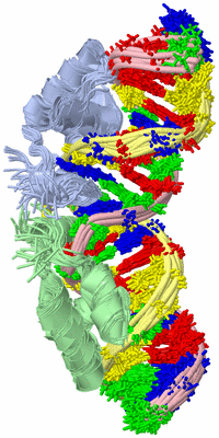 Image NMR Structure - all models