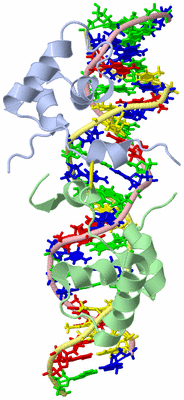 Image NMR Structure - model 1